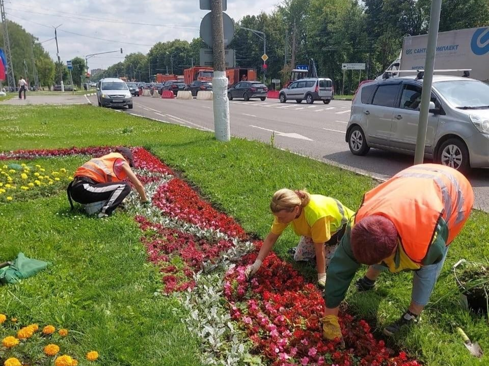 В Подмосковье высадили цветы и обновили контейнеры для отходов