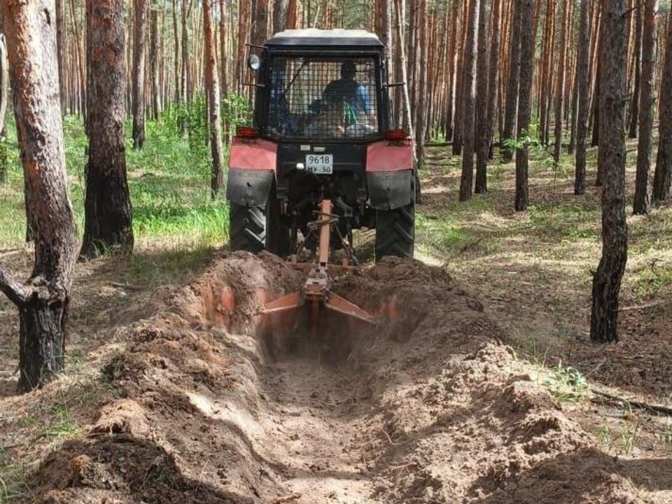 В подмосковных лесах прочистили более 50% минерализованных полос