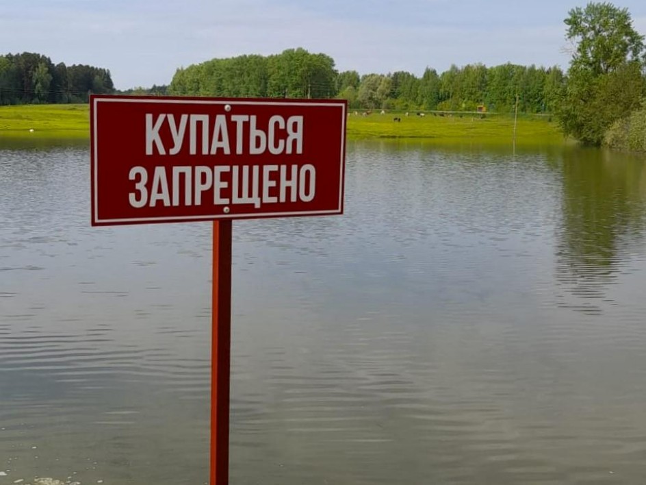 В каких водоемах Подмосковья обнаружены гепатит и ротавирусная инфекция