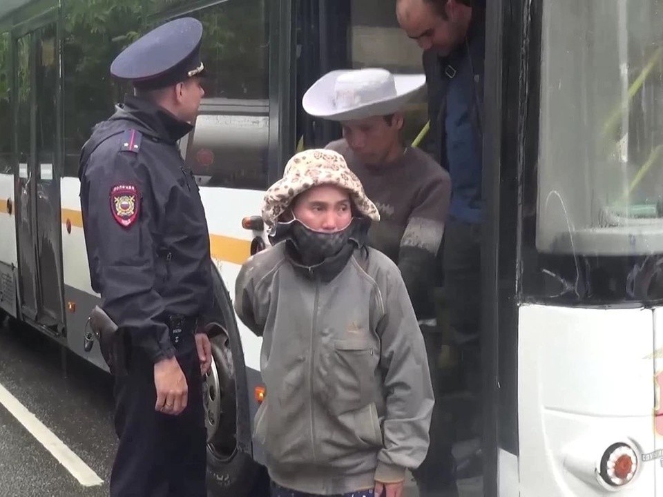 Рабочих-нелегалов нашли в теплице с огурцами в Жуковском
