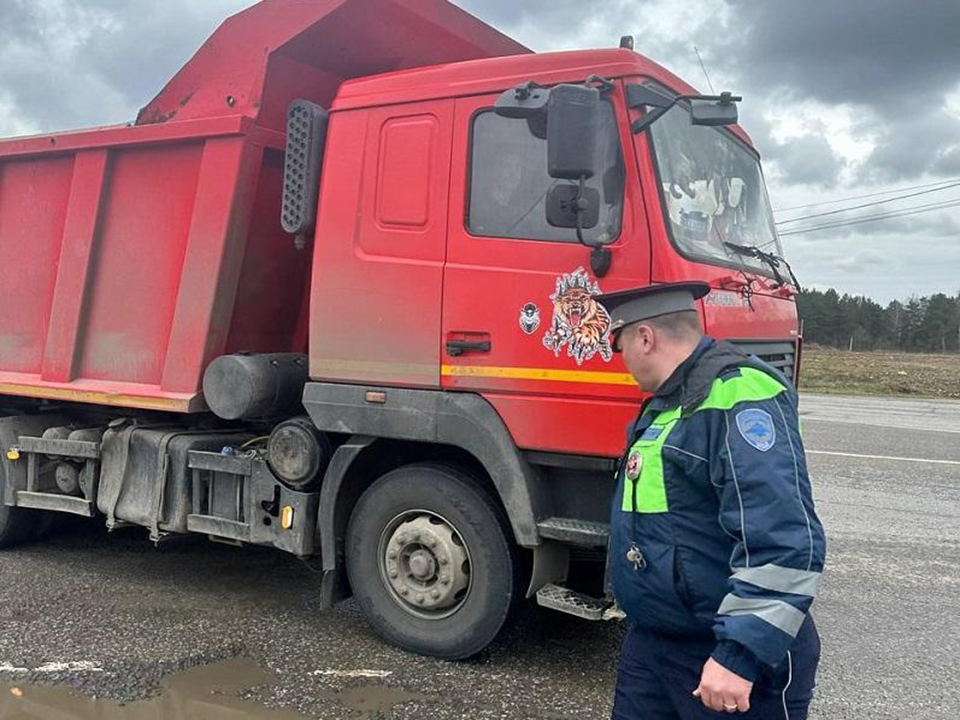 Суд в Орехово-Зуеве отказался отменять штраф за незаконный вывоз строительного мусора