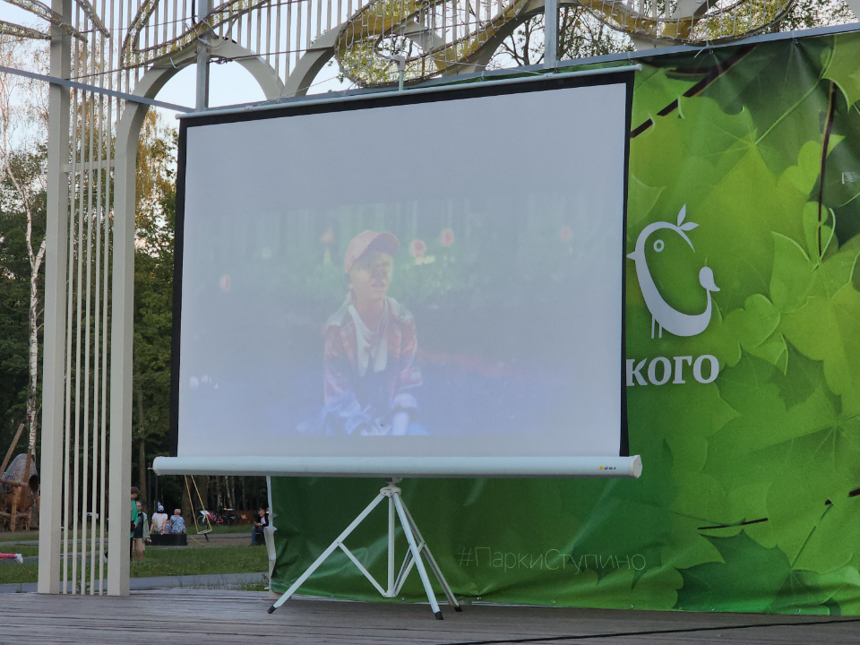Кинотеатр под открытым небом может появиться в Серебряных Прудах