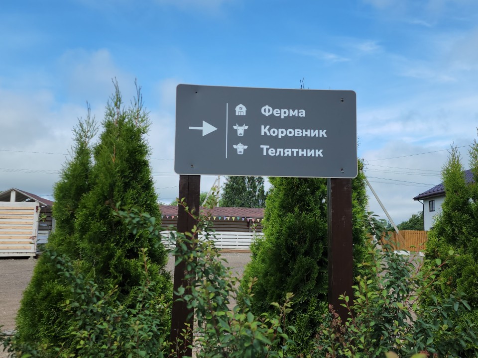 Фермер из Истры строит инновационное сырное хранилище с роботами
