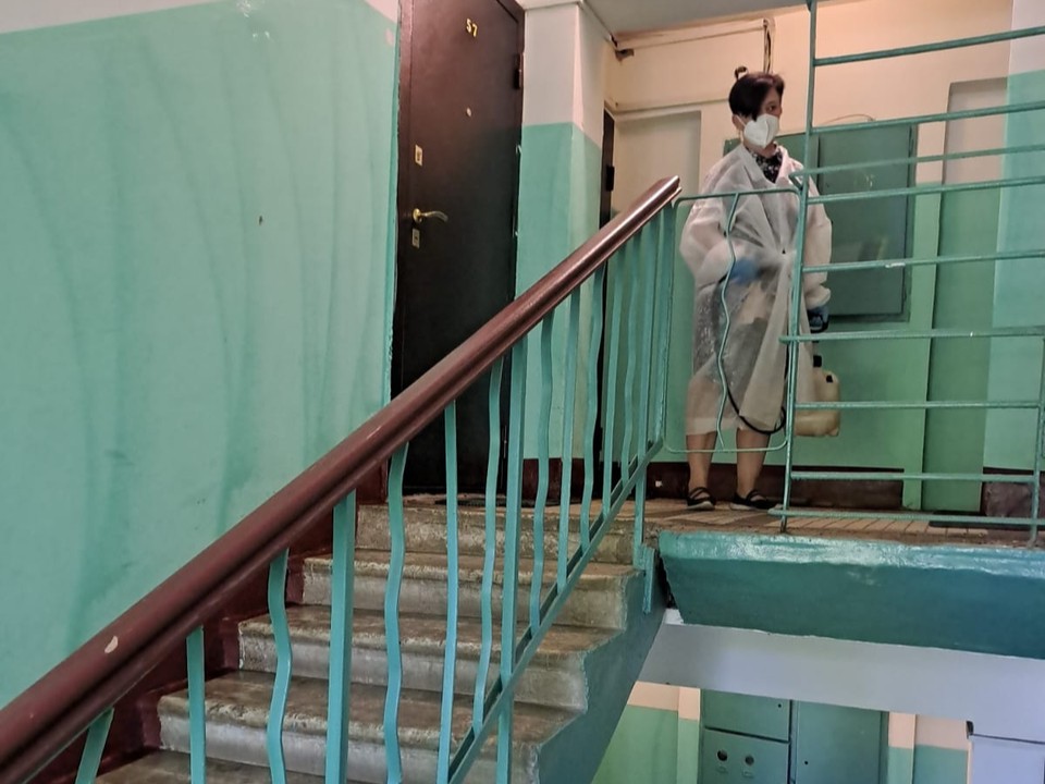 «Ковер из живых тараканов» в подъезде дома на Октябрьском проспекте пришлось убирать УК