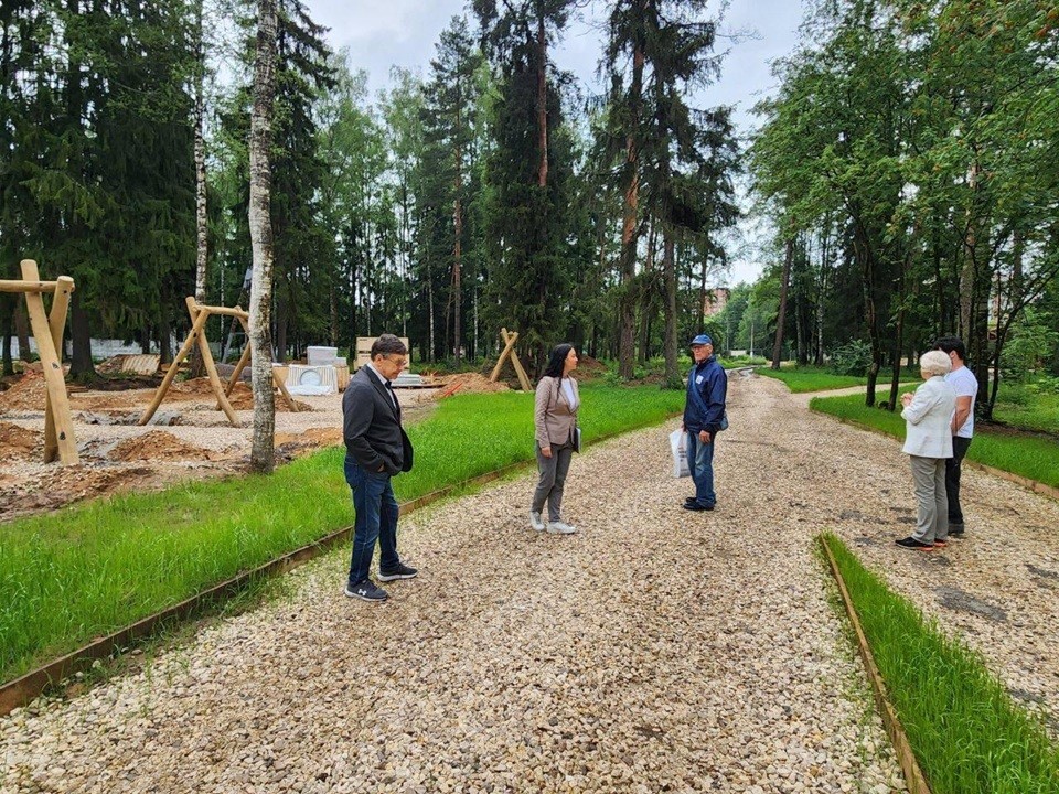 В Пушкинском округе создадут новое место отдыха в лесопарке Красноармейска