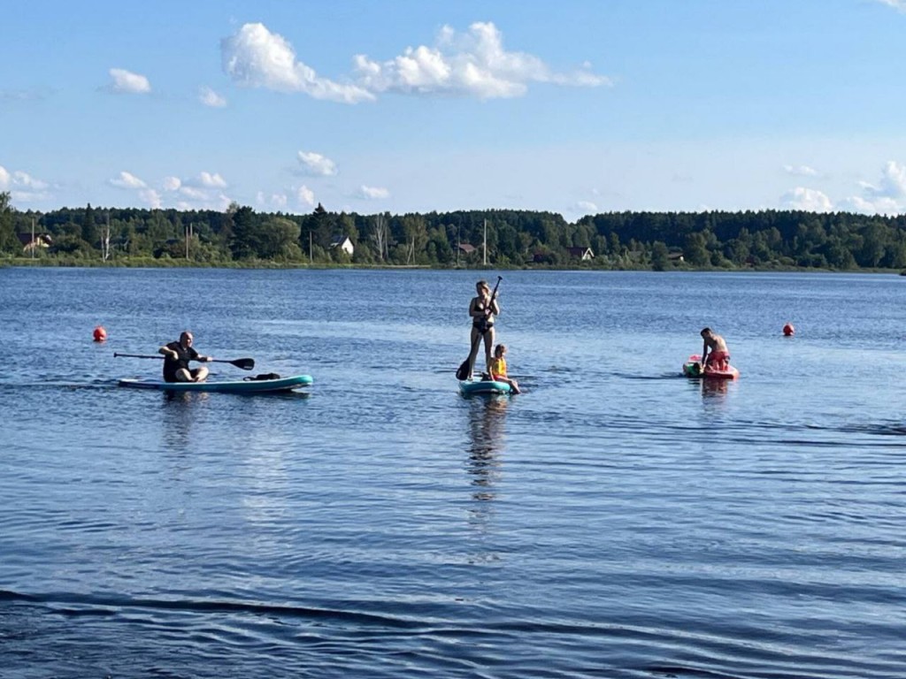 Прошли проверку: в каких водоемах Талдома кристально чистая вода