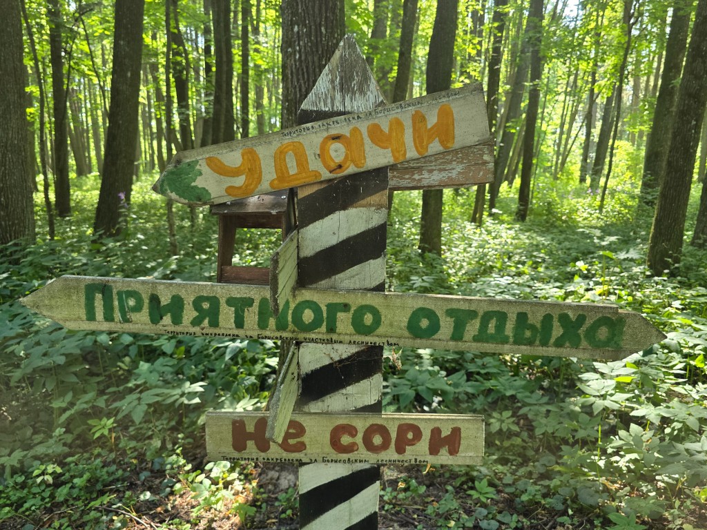Море зелени и живых историй в «Парке Памяти» поможет переждать жару в Можайске