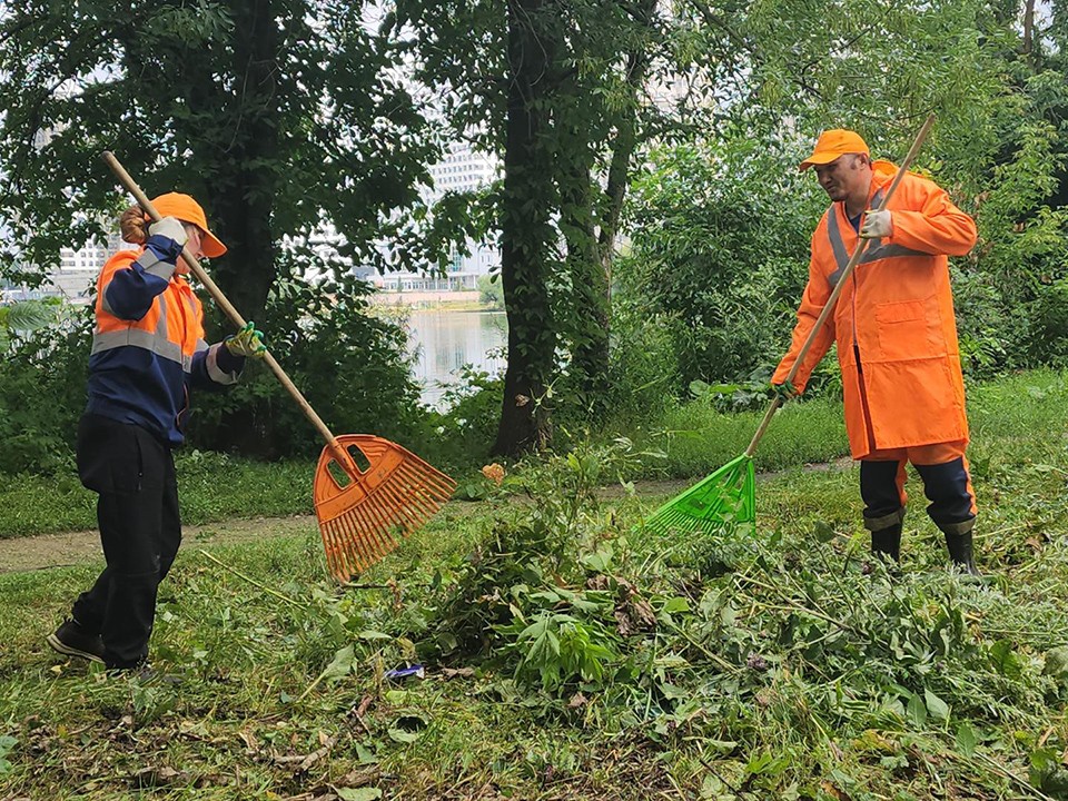 Берега Серебрянки возле водопада в Пушкино избавили от мусора и сухих веток