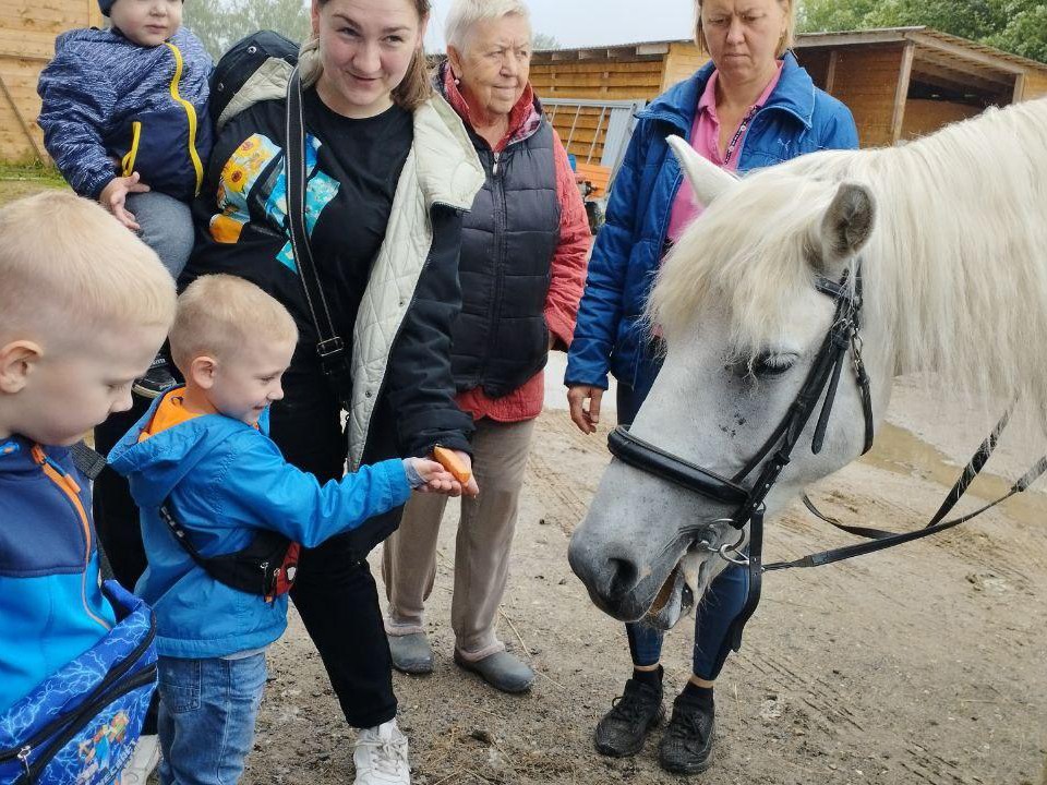 Особенные дети Ивантеевки прошли сеанс иппотерапии в конно-спортивном клубе