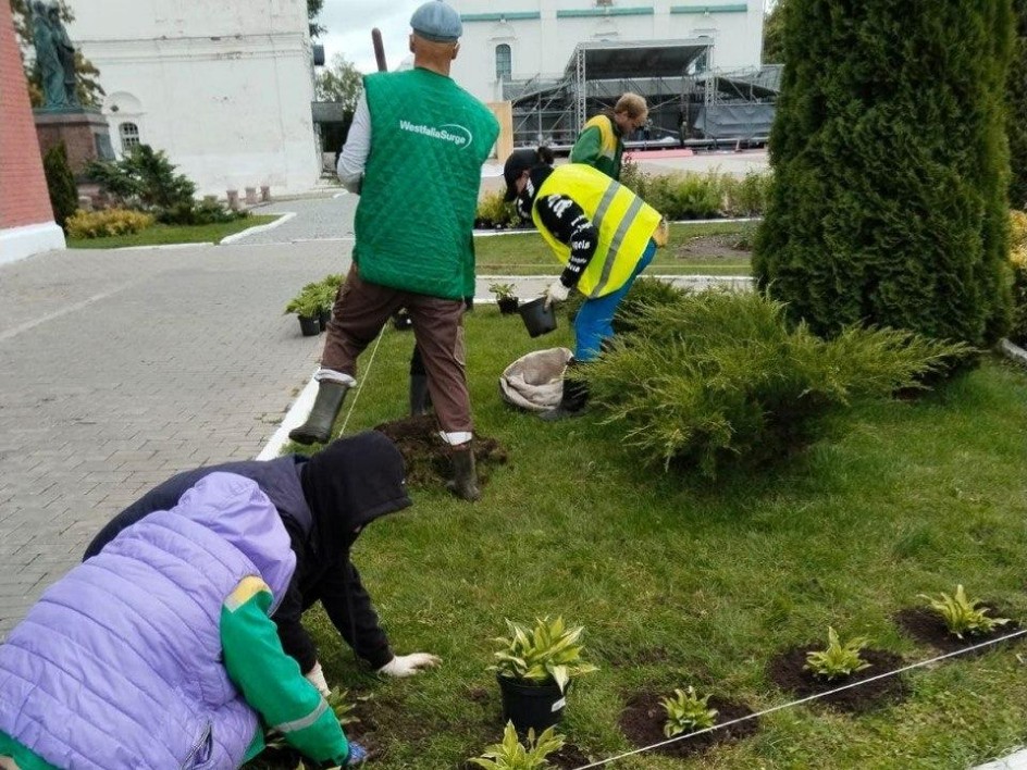В Подмосковье привели в порядок живые изгороди и клумбы