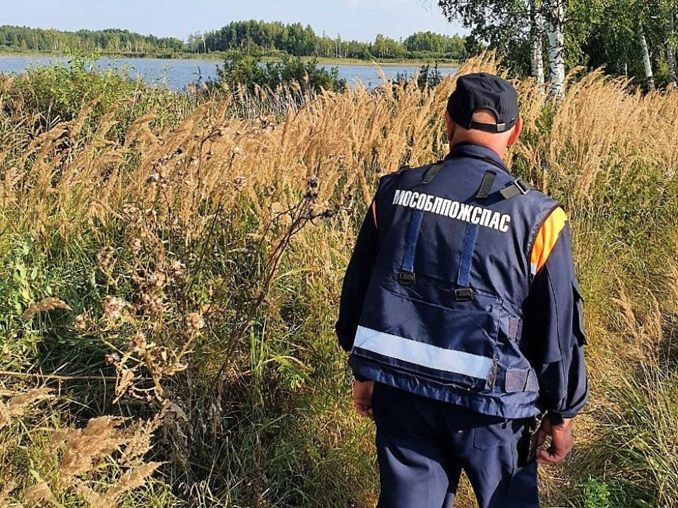 Спасатели разыскали двух пенсионерок, заблудившихся в лесу в Можайском округе