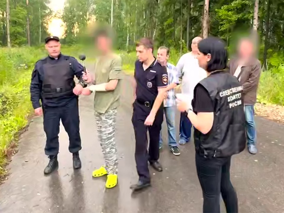 Собирал огнеметы и ненавидел женщин: кто напал с молотком на девочек в Домодедово