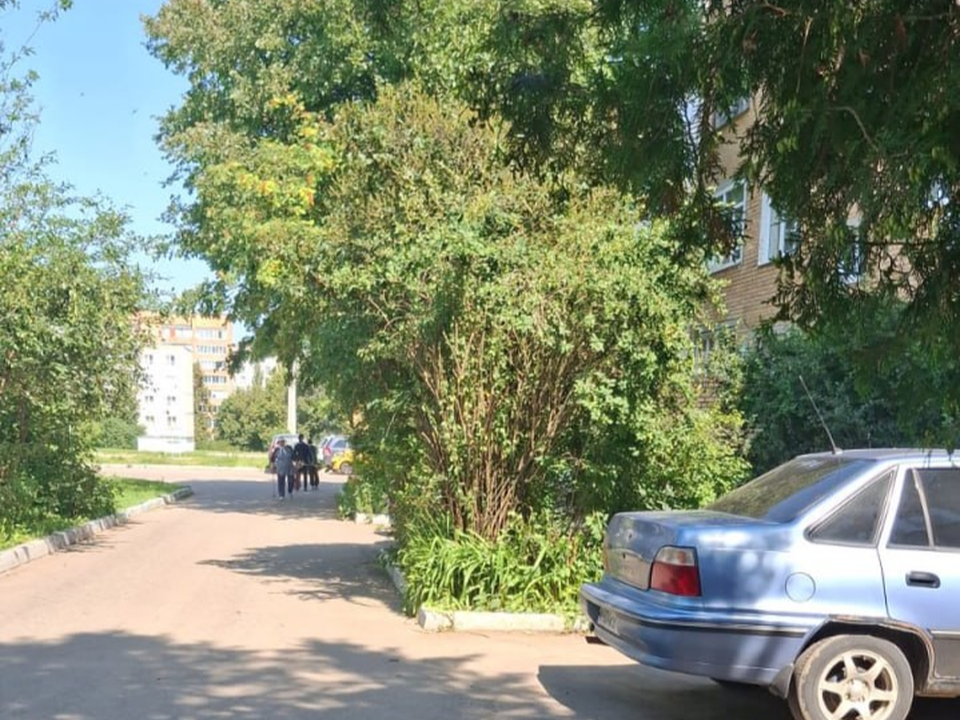 Во дворе дома на Ленина провели обрезку зеленых насаждений и уборку двора
