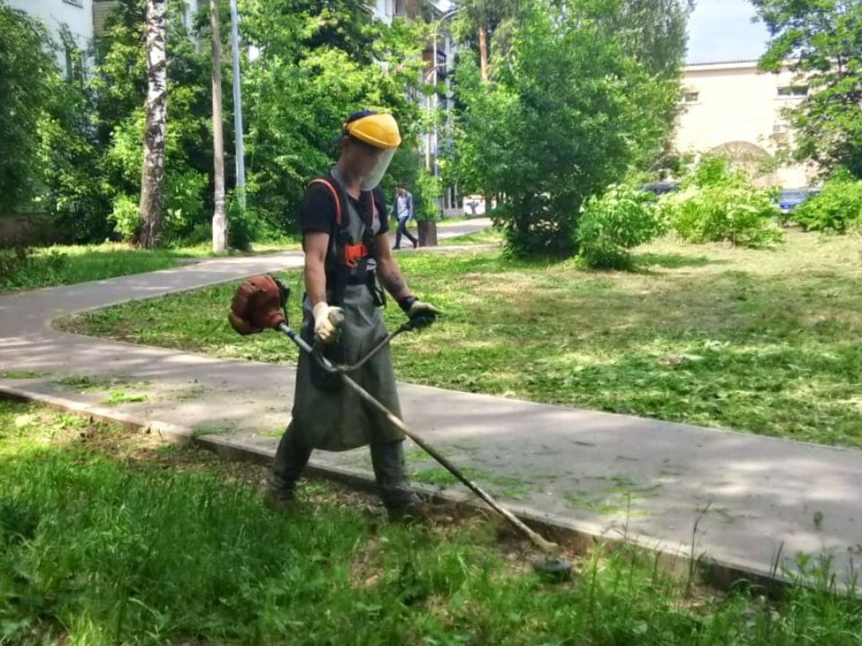 В Электростали скосили более 200 тыс. кв. м. травы
