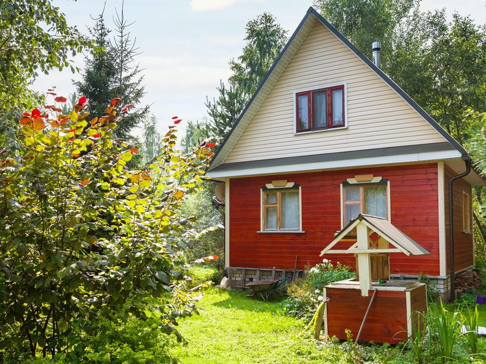 Лыткаринский садовник объяснил, какие деревья и кустарники подойдут для дачи