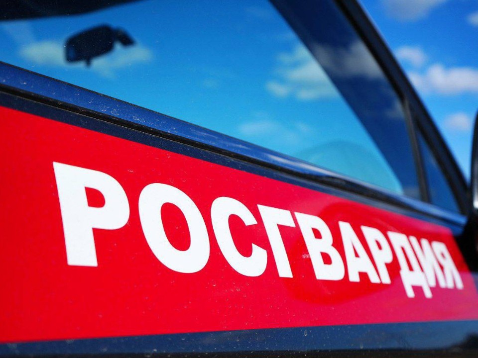 За минувшую неделю росгвардейцы задержали в Подмосковье более 1 тыс. правонарушителей