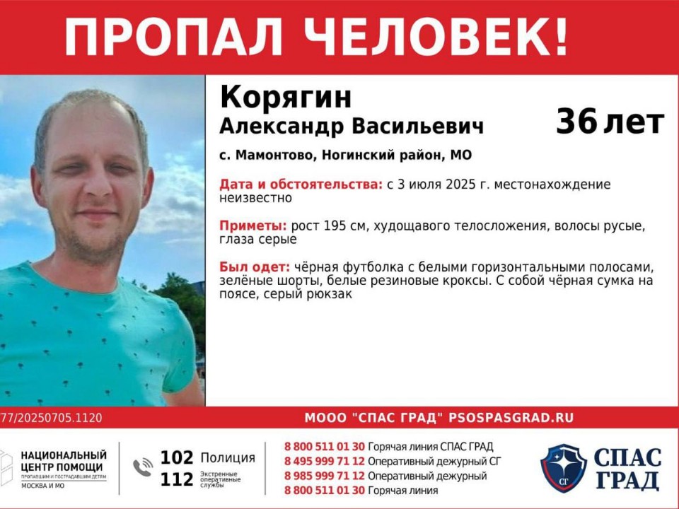 В Электростали ищут 36-летнего мужчину из Мамонтова