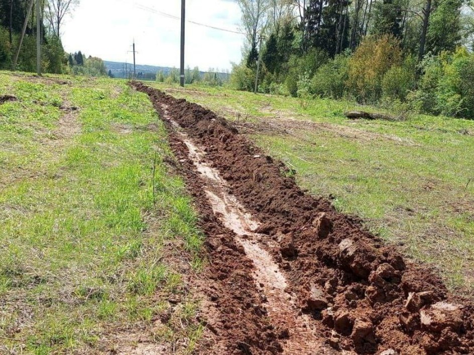 В лесах Подмосковья создали минерализованные полосы