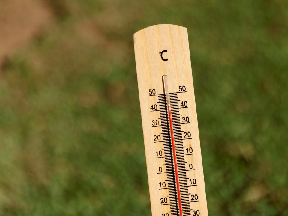 Жара в Реутове превысит норму на 10–12°