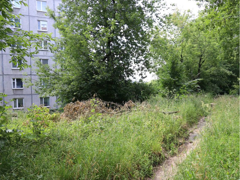 Свалку сухих веток во дворе Спортивной, 16 уберут в течение суток