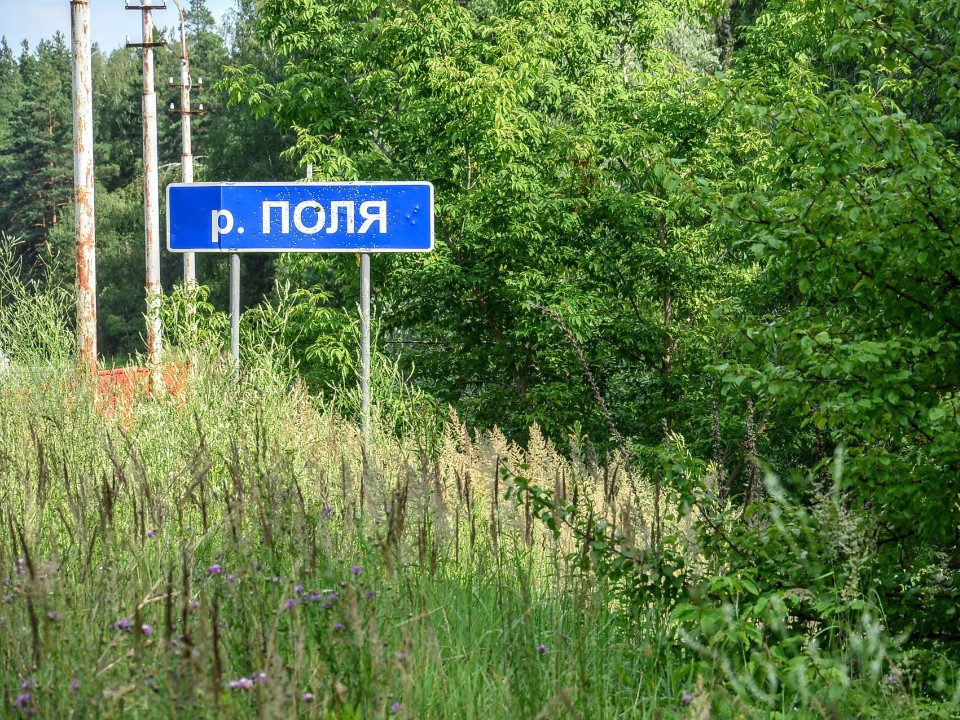 Экологи из Шатуры взяли пробу воды в реке Поля после гибели рыбы
