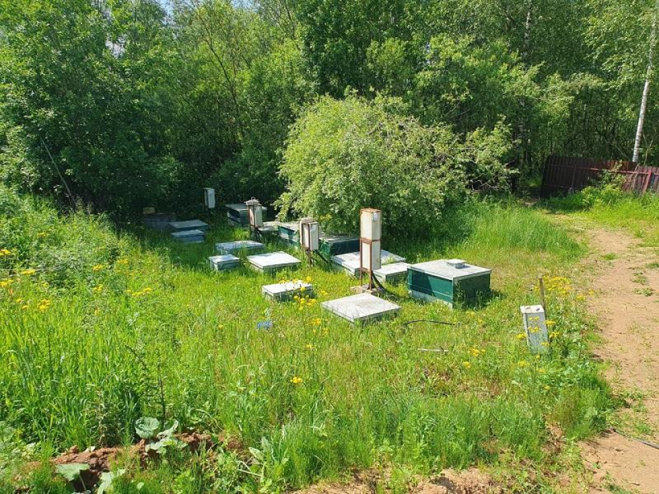 В Химках выявлены нарушения в водоохранной зоне озера Черное