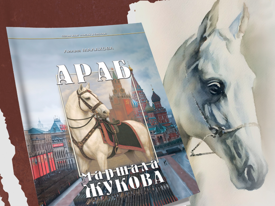«Араб маршала Жукова»: в Дмитрове представят книгу, где история рассказывается от лица лошади