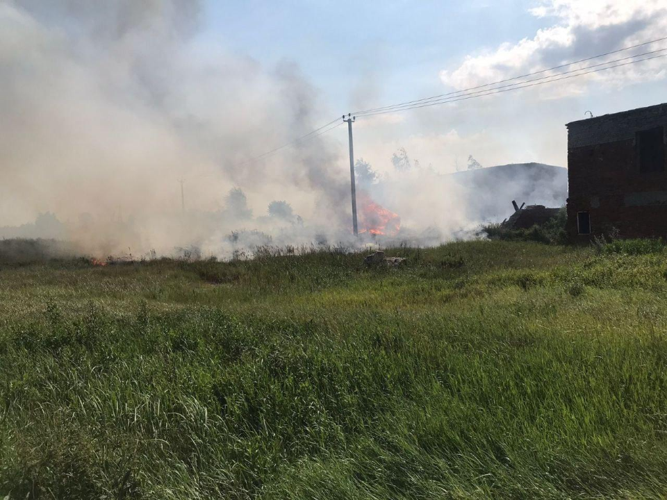 В Луховицком округе ликвидировали лесной пожар