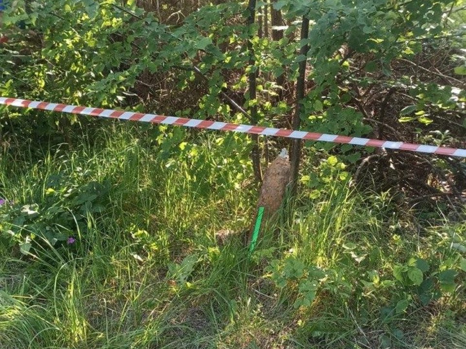 Взрывотехники обезвредили боевой снаряд времен ВОВ, найденный под Рузой