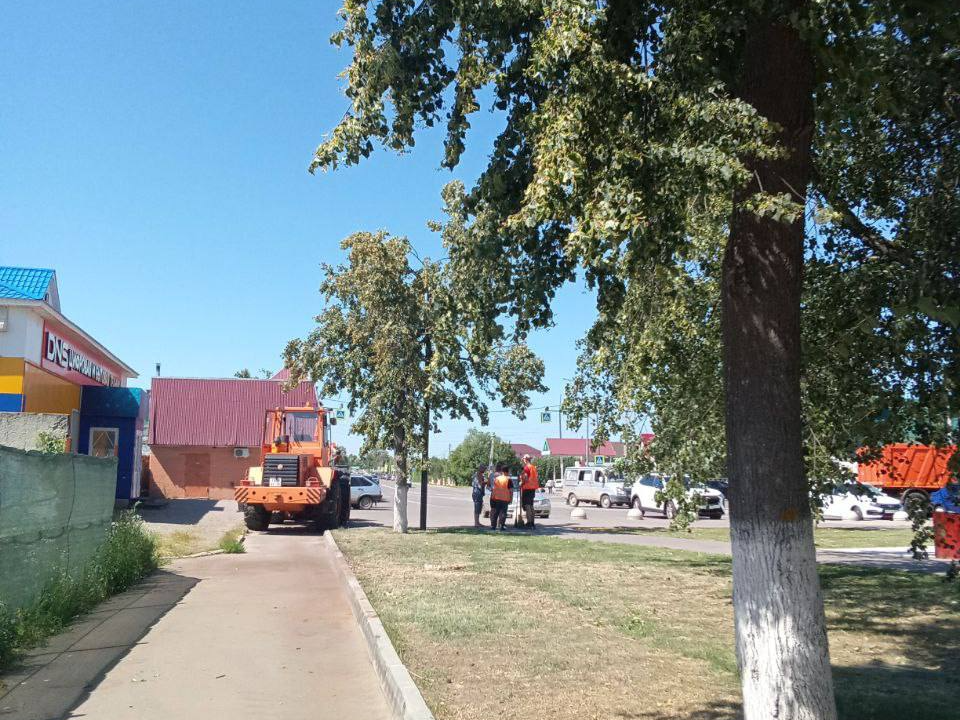 Сквер Ленина в Серебряных Прудах избавили от опасного сухостоя