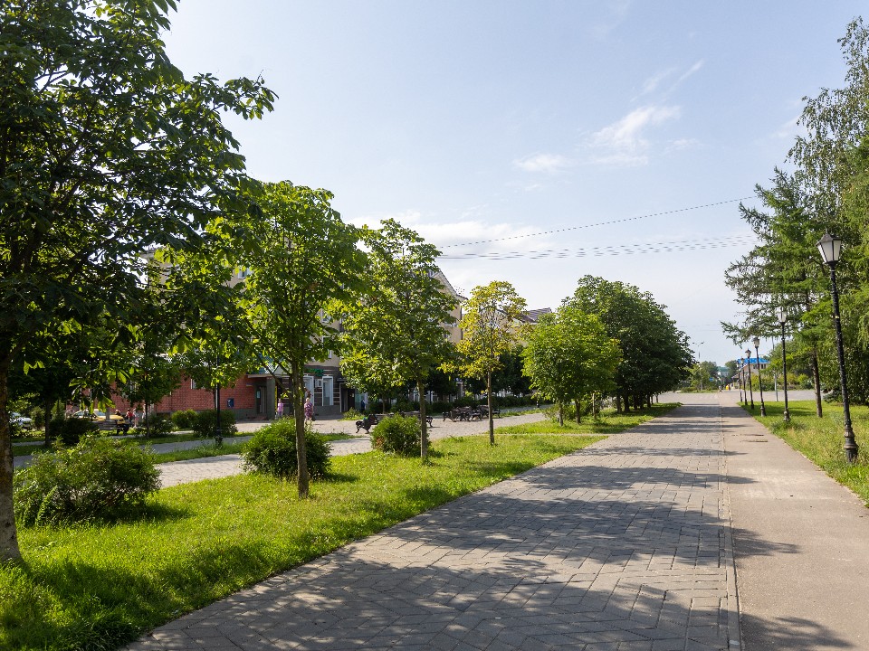 Жаркая погода без дождей задержится в Лосино-Петровском