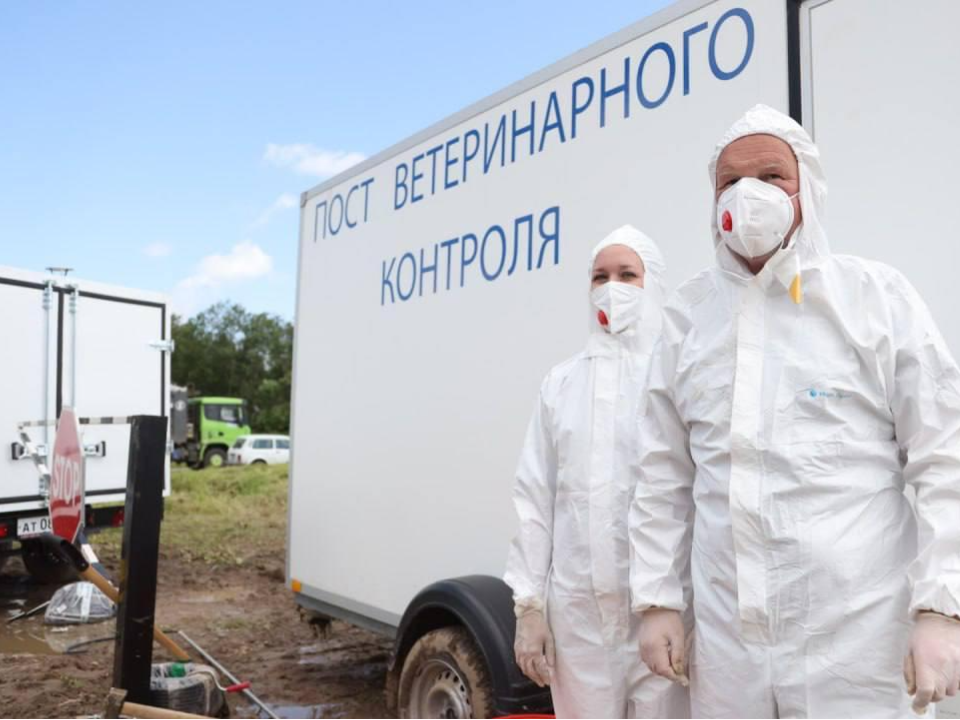 Ветеринары Подмосковья приняли участие в международных учениях по локализации опасных заболеваний