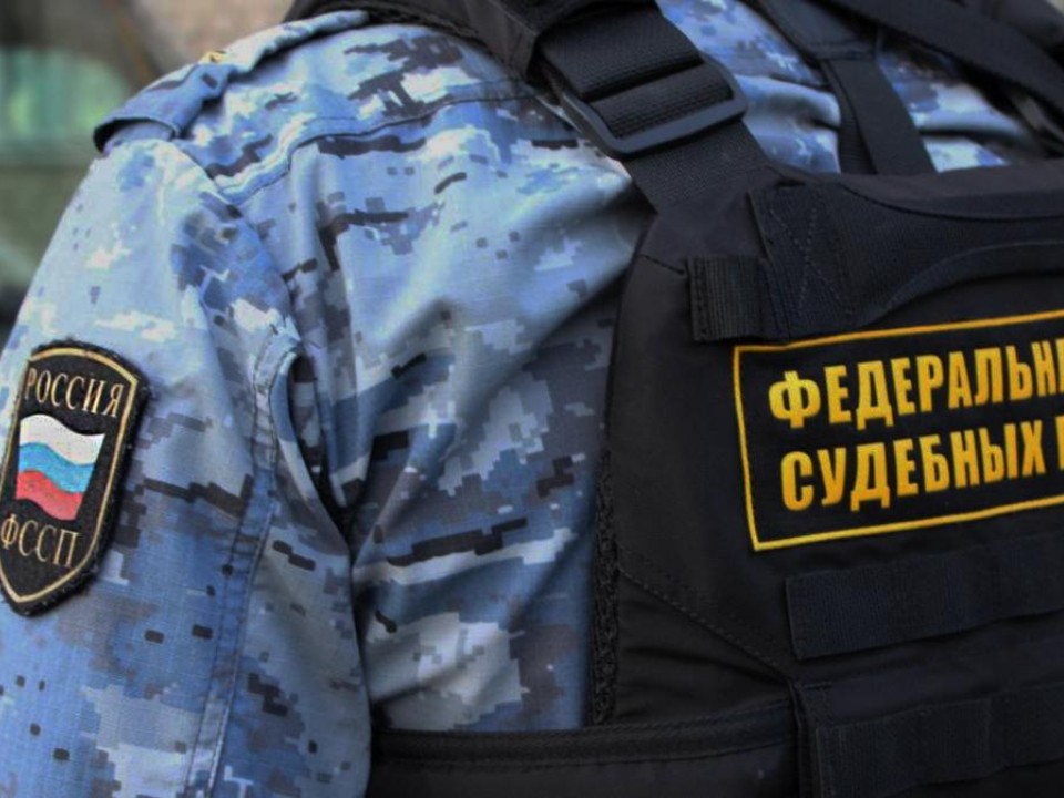 Приставы изъяли 100 земельных участков у осужденного за взятку жителя Подмосковья