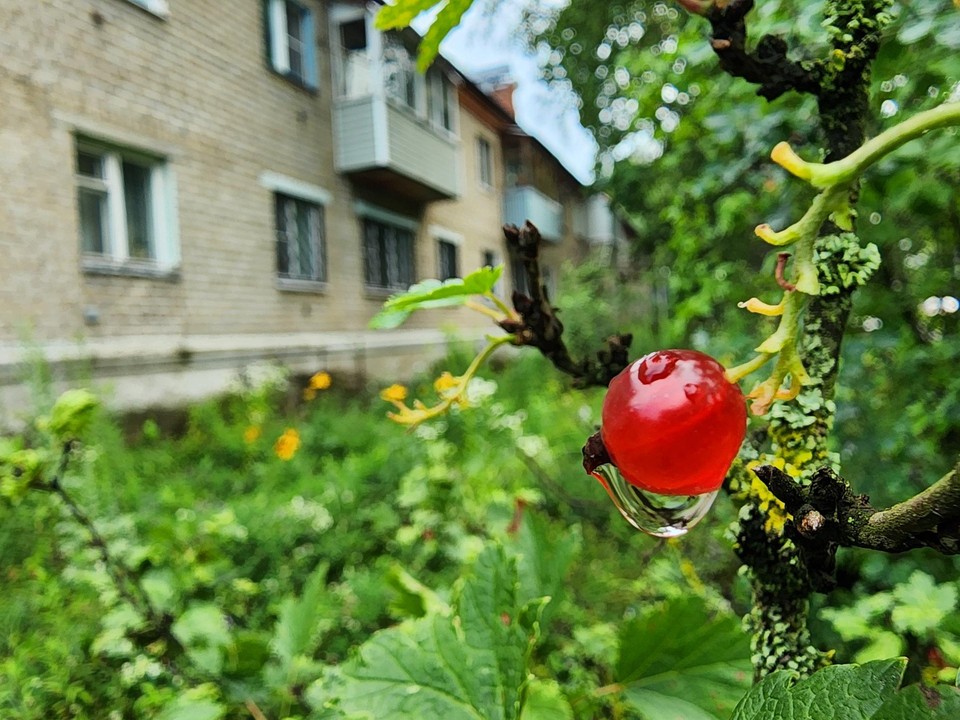 На Советской улице в Старой Купавне благоустроят двор и установят новую детскую площадку