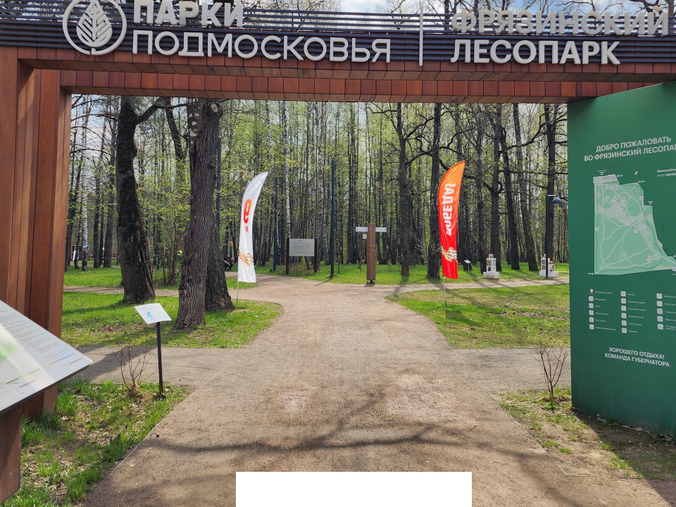 В День семьи во Фрязинском лесопарке пройдут мастер-классы и концерт
