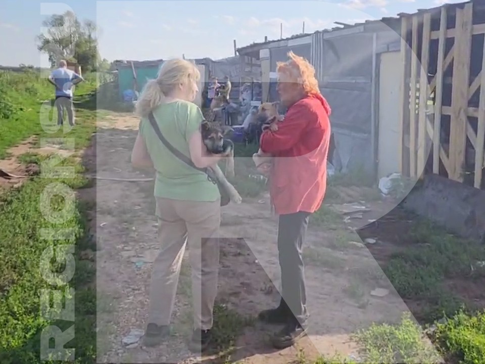 В Люберцах полиция закрыла подозрительный собачий питомник