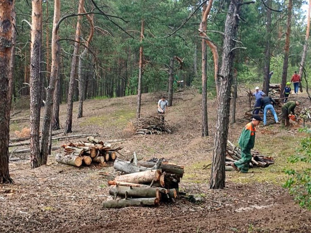 Ступинские лесничие расчищают живописную лыжную трассу в Соколовой Пустыни