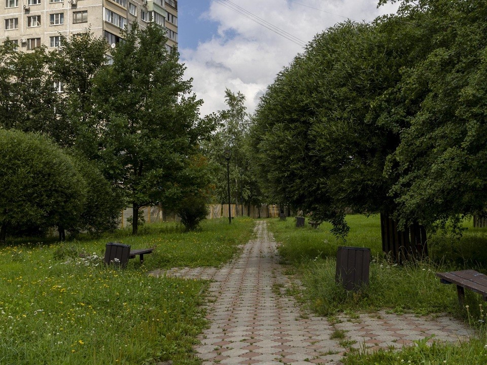 В Электростали приступили к обновлению сквера «На семи ветрах»