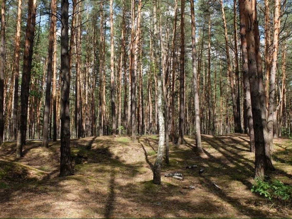 В Приокско-Террасном заповеднике Серпухова выявлены виды из Красных книг