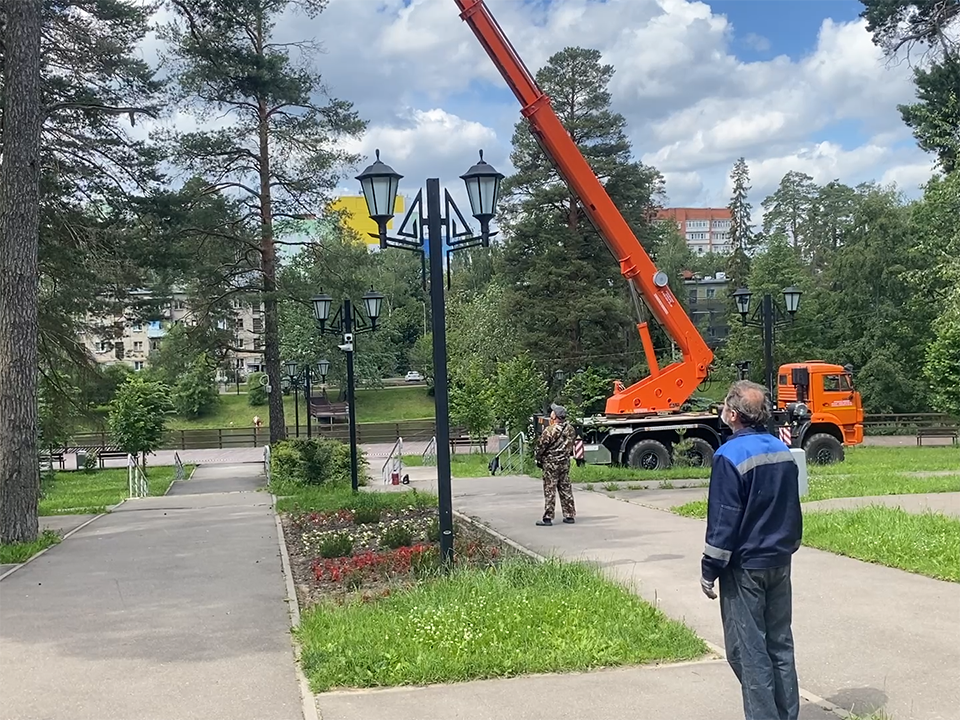 Во Власихе срубили опасную 20-метровую ель на Цветном бульваре