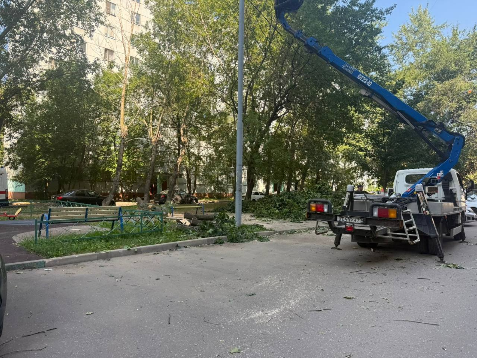 Сотрудники управляющей компании оперативно спилили упавшее дерево на ул. Шоссейной