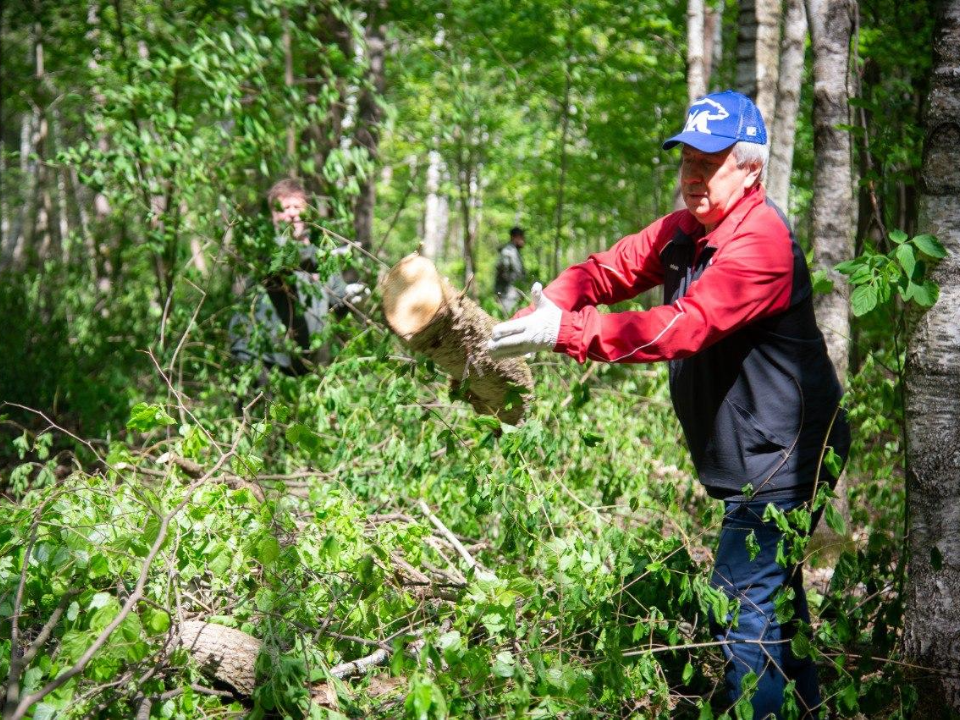 Участники акции «Чистый лес» очистили 23 га леса и собрали 425 куб. м валежника