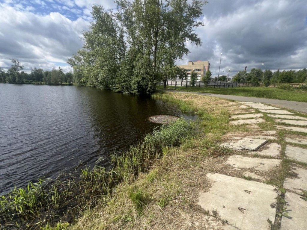 Как в Запрудне спасли местную дамбу от грызунов
