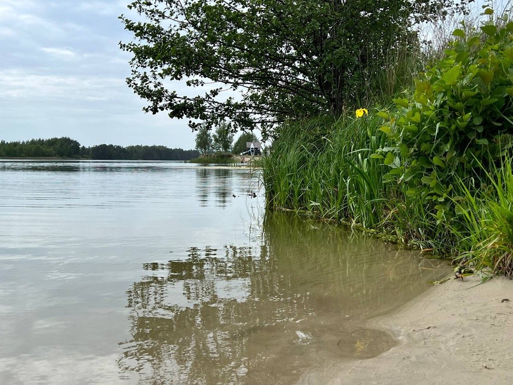 Откроют ли для купания городской пляж в Бронницах