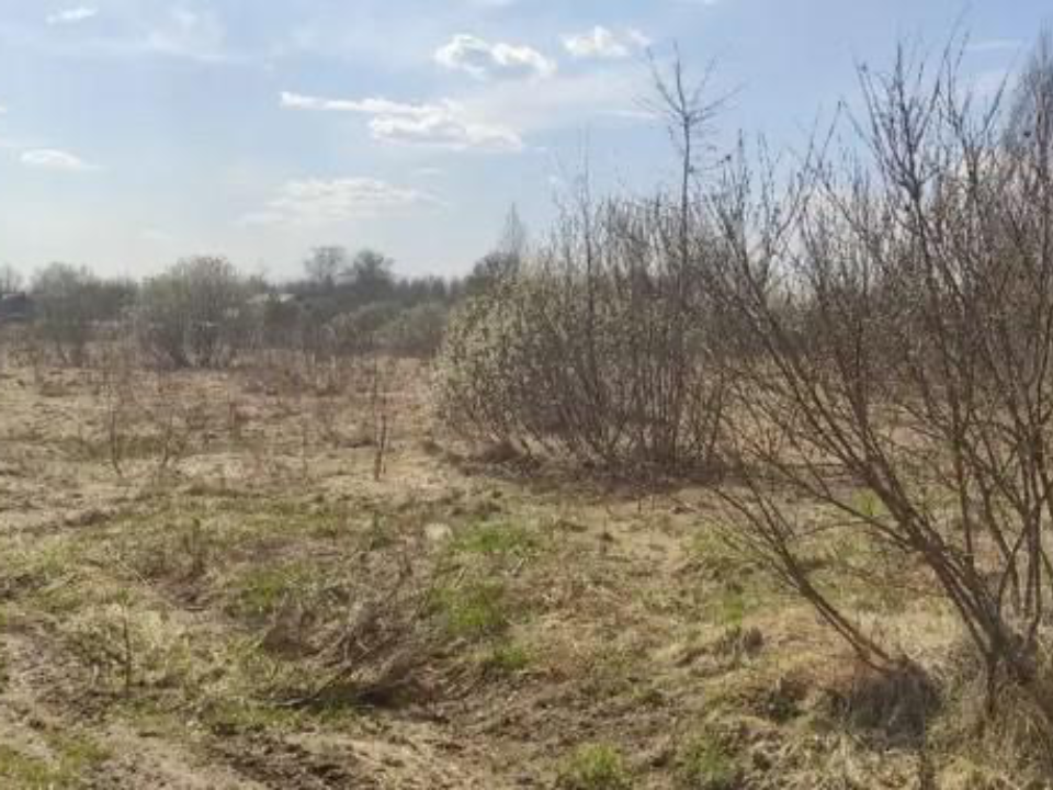 Участок в Великом Дворе на торгах оказался самым бюджетным