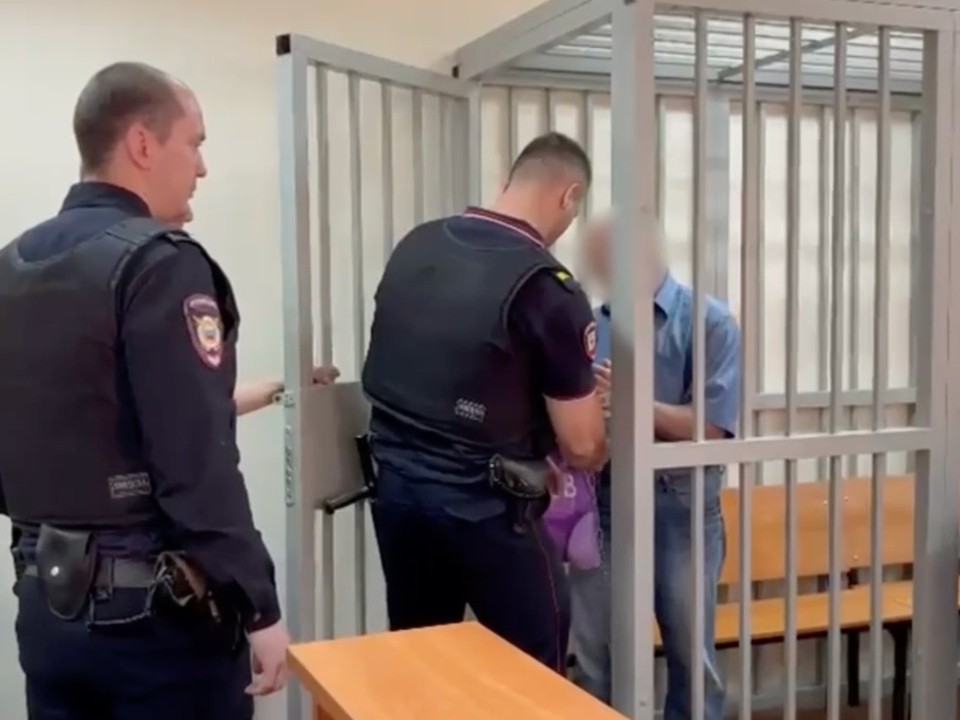 Суд арестовал жителя Электростали, жестоко расправившегося со своей знакомой
