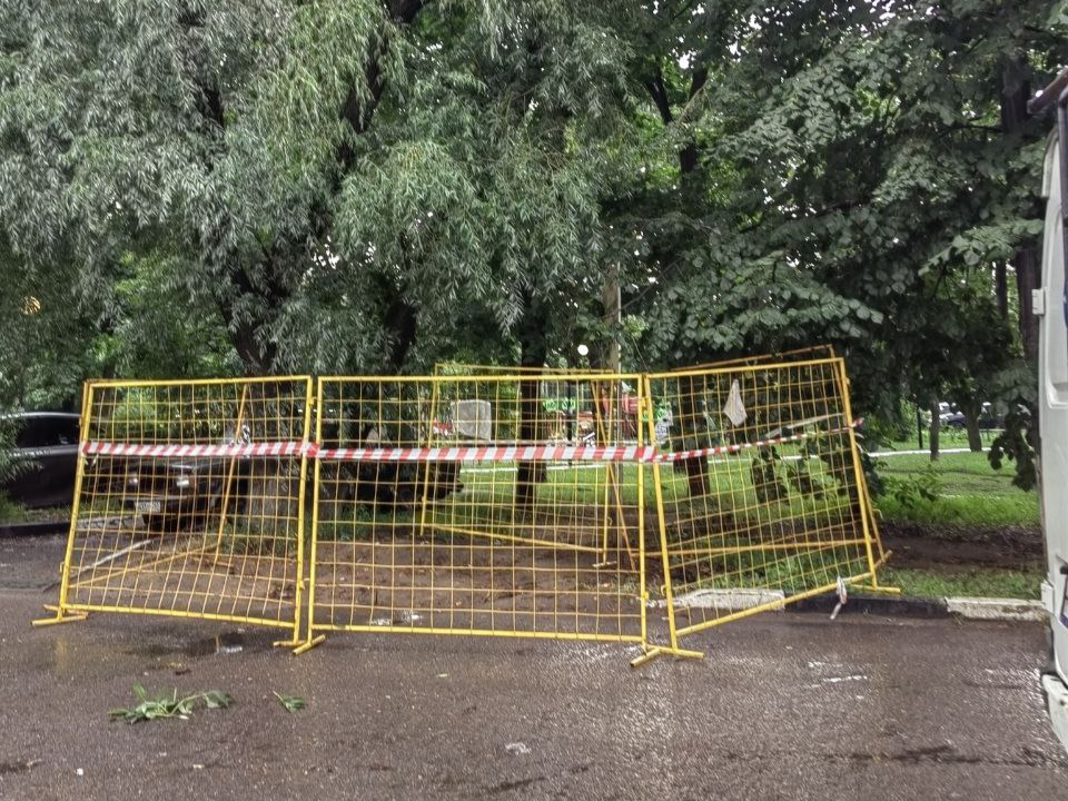 На улице Новой в Котельниках проведут опиловку поваленного дерева