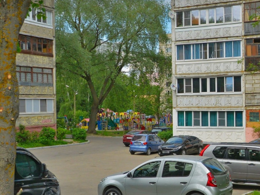 Жители Новлянского пожаловались на маргиналов, обитающих во дворе на Западной улице