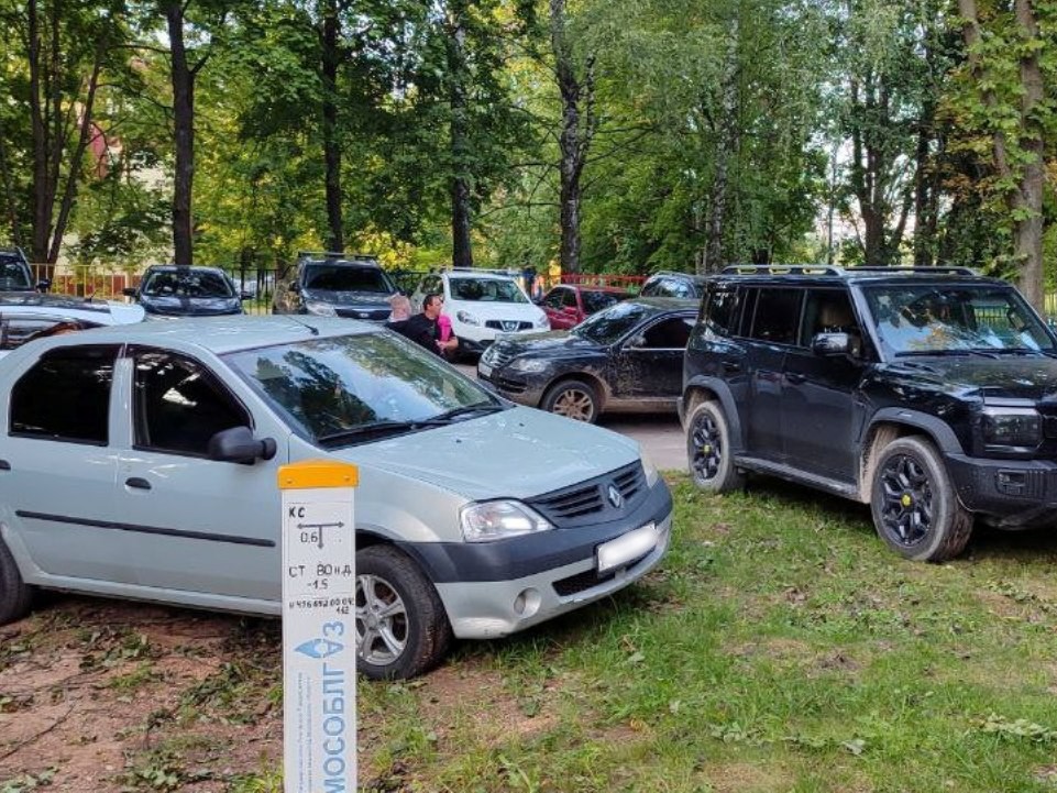Каширский педиатр борется за спасение зеленых насаждений под своим домом