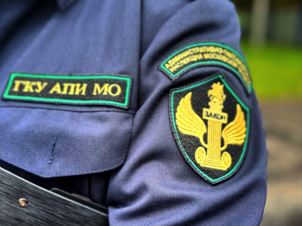 Урок безопасности на железной дороге прошел в Мытищах